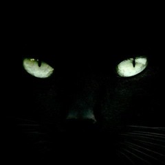 Spuri - Khaleesi (Stereo Underground Remix)