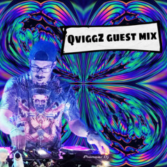Digital Diary Entry 11/29/25 QviggZ Guest Mix  (Episode 83)