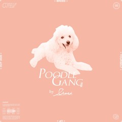 Poodle Gang #08