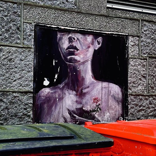 Faces We'll Never Remember