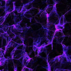 Superstar X Along Came Polly