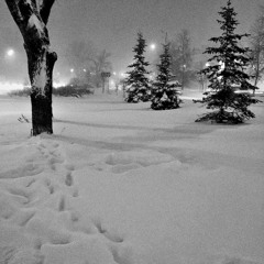 Winter slowed