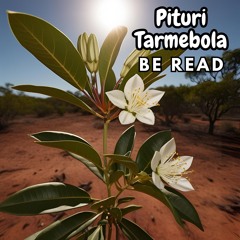 Pituri Tarembola