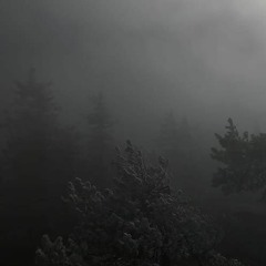 everyday (12-30-20) ominous background ambience