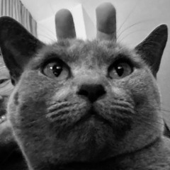 291125 Torquay Terrace Tribalacid.m4a