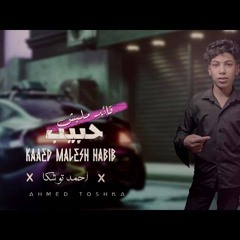 مهرجان قائد مليش حبيب - احمد توشكا - MP3