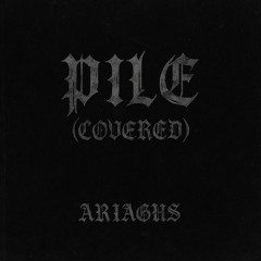 Pile (Cover)