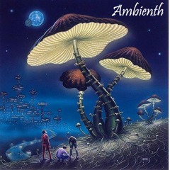 Psychedelic Journey