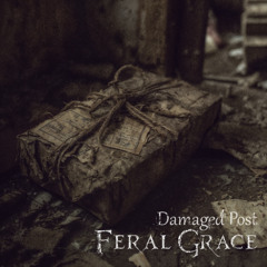 Damaged Post [Single Version]