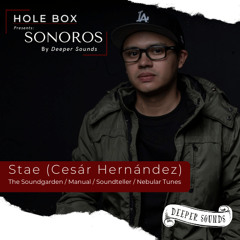 Hole Box Presents Sonoros Episode 28 - Guest Mix : Stae (Cesar Hernandez) - June 2023