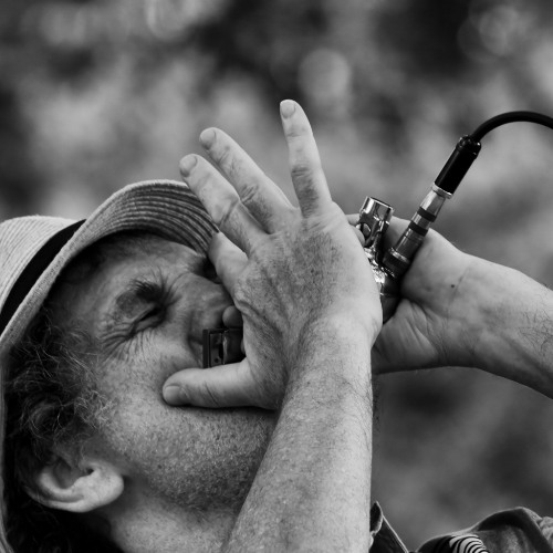 That ain't it / Big Walter Horton