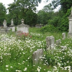 graveyard ft lonelyfaust (xy1va)