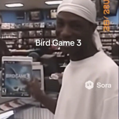BIRD GAME 3 (RIP SORAai APP)