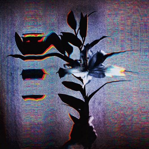 Premiere: Populist - Temple [Ttatld001]
