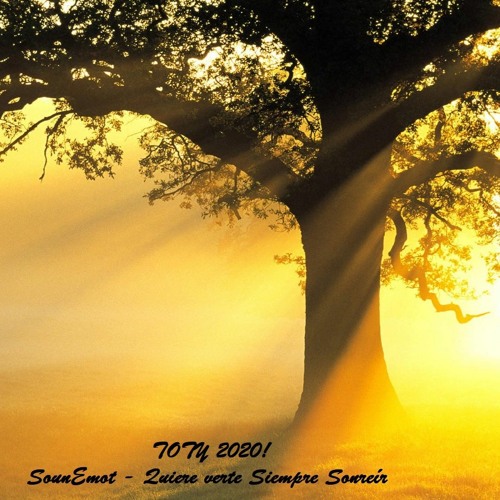 2020 Year Mix