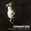 Kidnap feat. Leo Stannard - Moments accords