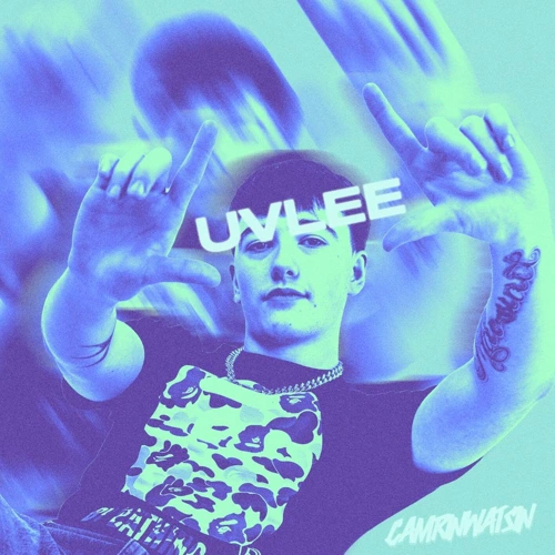 Artwork for the song CamrinWatsin - Luvlee  by CamrinWatsin on Next Sound