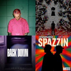 17 Bass House / G House / Electro House / UK Bassline 17