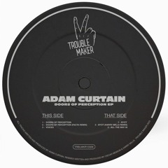 Adam Curtain - Doors of Perception (Facta Remix)
