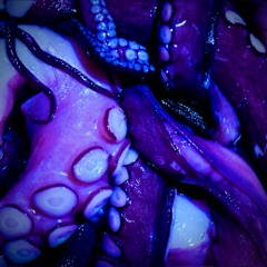 WHAT GAVE IT AWAY「 V4FLOWER 」