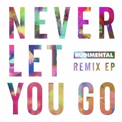 Rudimental - Never Let You Go (feat. Foy Vance) [Feder Remix]