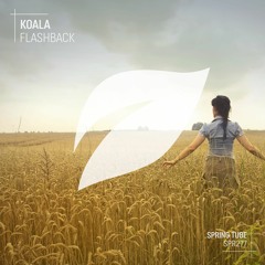 Koala - Drowning Slowly (Original Mix) [Spring Tube]