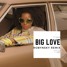 Big Love (Robynsky REMIX)