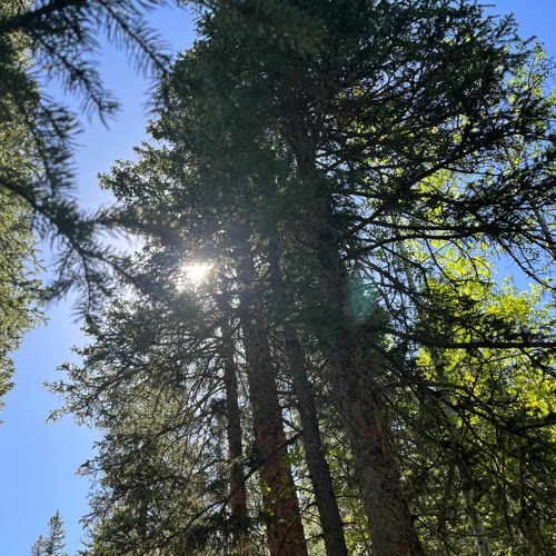 REC Live - 2024 - 04 - 13