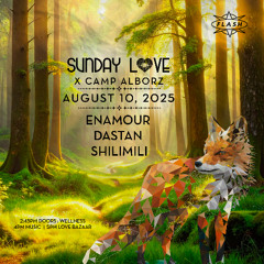ShiliMili Live at Sunday Love | Alborz × Flash | Washington D.C. | August 2025