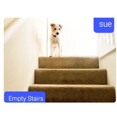 Empty Stairs.