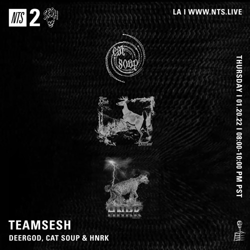 TeamSESH NTS 20th January 2022: Deergod, cat soup & hnrk