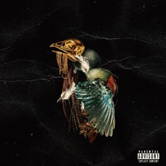 Sypooda - Fish Food (Feat. Rigz)