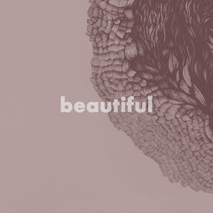 Beautiful (Echos Mix)