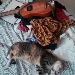 Lirica Suelta Revuelta