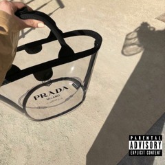 Prada Bag - Danetripp