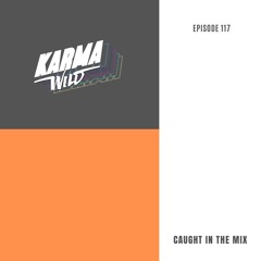 CAUGHT IN THE MIX - 117