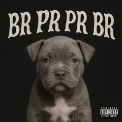 Br Pr 2.0