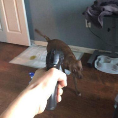 “MOP DAWG THEE OPP DAWG” FT.@TILTEDMANE