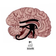 RATED PINEAL GLAND (3RD EYE ACTIVATION) VOL.43 side b