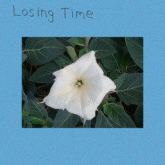 sarcastic sounds - losing time (remastered by beethoven.)