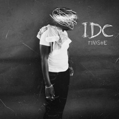 Tinxshe - IDC