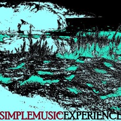 S i M p L e MuSiC E x P e R i E n C e  [ΧΘΟΝΙΑ  ΖΩΝΗ] (OtheR SidE)