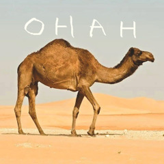 OHAH