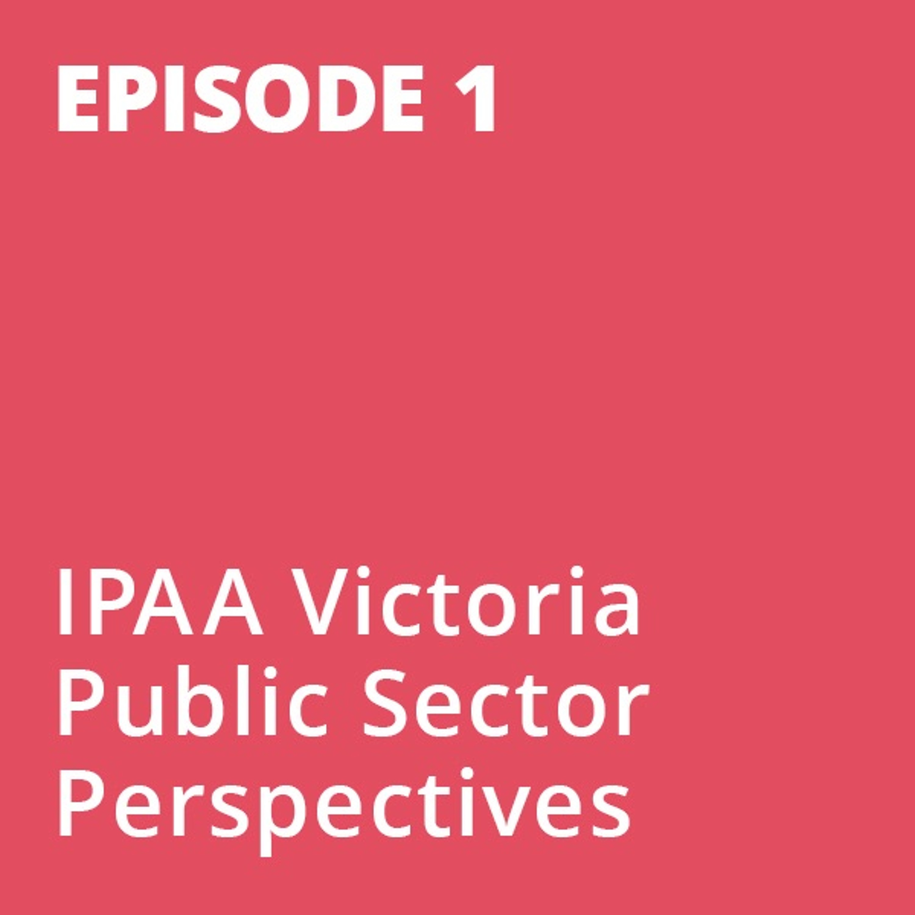 Public Sector Perspectives