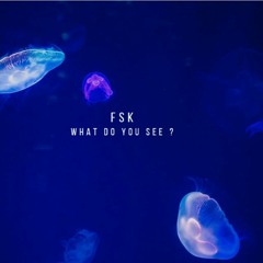 FSK - WHAT DO YOU SEE ?