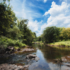 Stupid (ENS, Eliot Argus & LB)