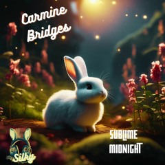 Carmine Bridges - Sublime Midnight (Mr Silky's LoFi Beats)