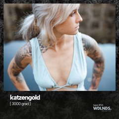 katzengold 🌿 wdlnds. tape '114 [ feel festival 2023 ]