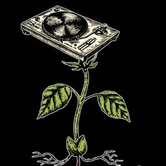 Papa Sprout - Dirty Girl