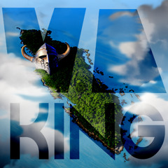 V.I.KING